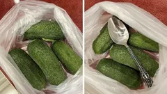 Pepinos crocantes até 10 dias? Tudo graças a uma simples colher de sopa