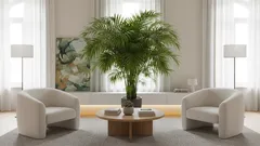 Como cultivar uma palmeira frondosa em casa: regras simples que realmente funcionam